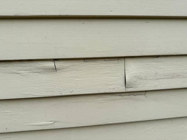 Best Custom Trim and Detailing for Siding  in Pittsfield, MA